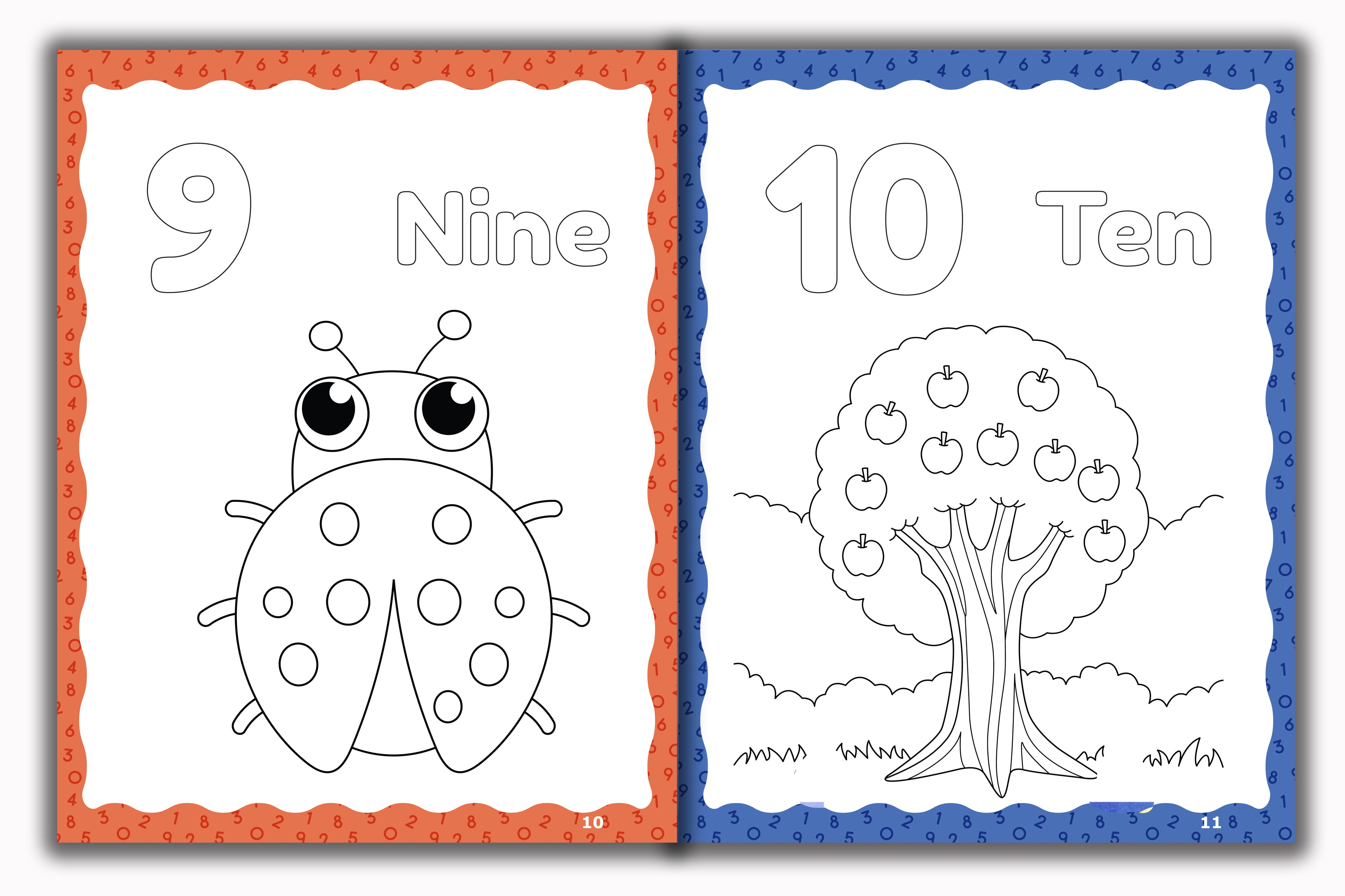 Activity Books Combo 4 - Alphabet Coloring, Number Activities, Number Coloring, Sizes, Things That Go Together