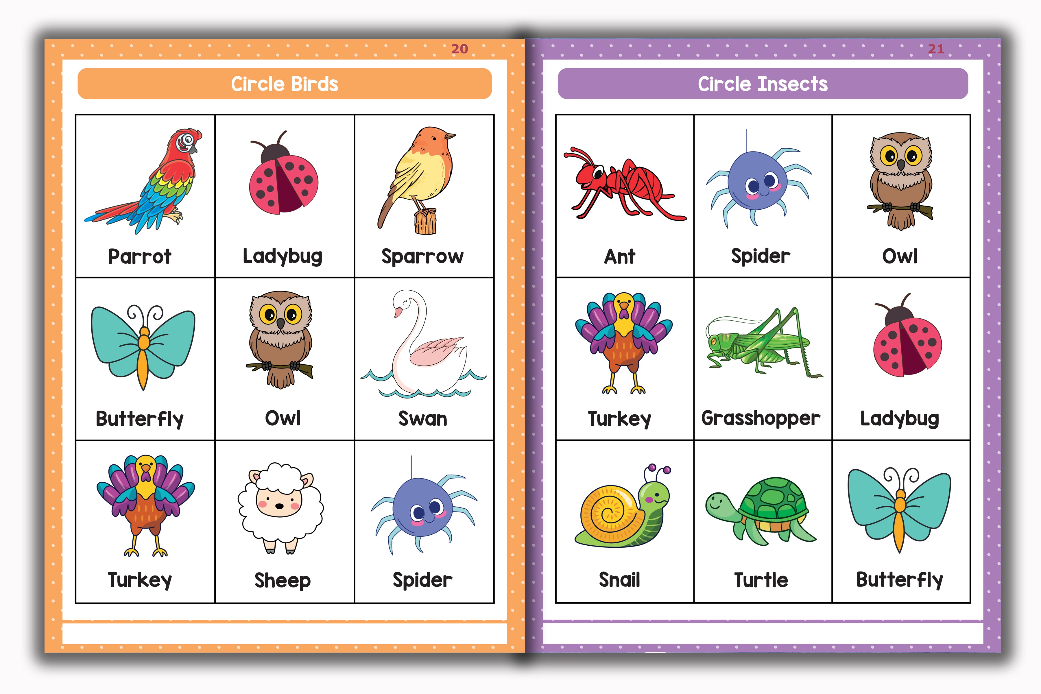 Activity Books Combo 10 - Alphabet Fun Shapes, Count And Write, Cut And Glue, Number Worksheet, science