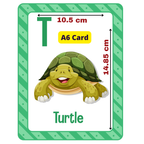 Flash Cards Printing - Custom Printing
